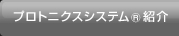 プロトニクスシステム紹介